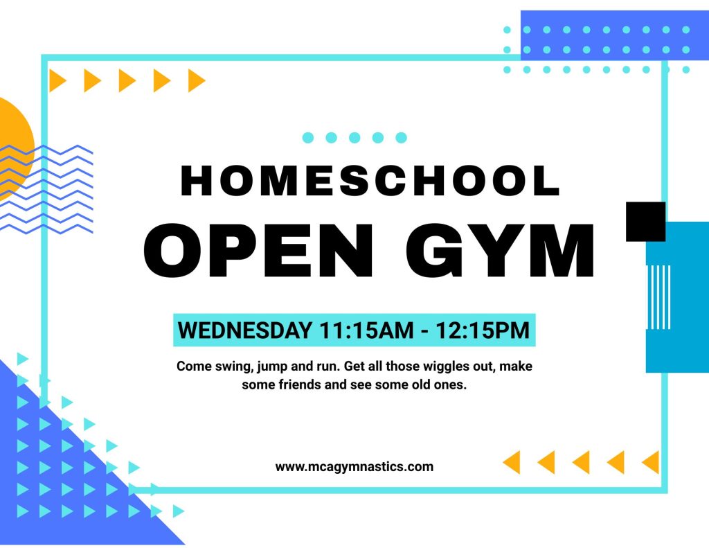 Homeschool Open Gym